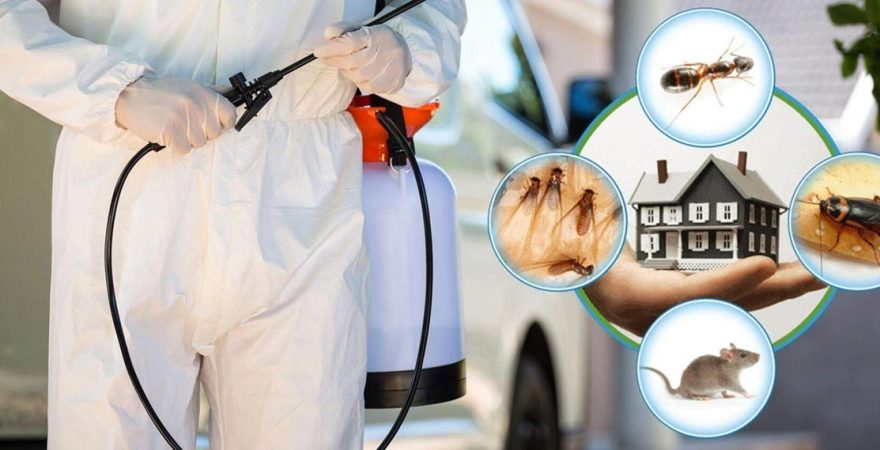 İkizdere Böcek İlaçlama