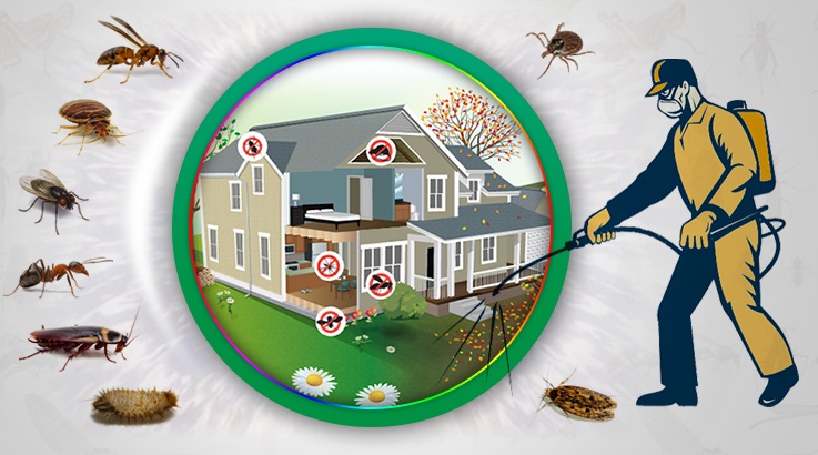 İkizdere Böcek İlaçlama