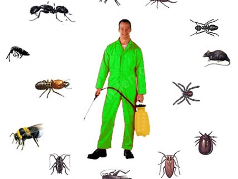 İkizdere Böcek İlaçlama